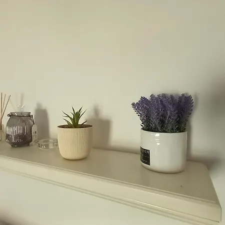 Apartment Adriana's *